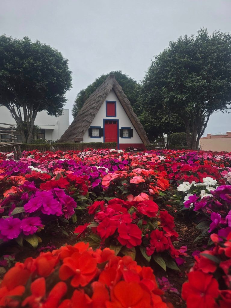 Traditioneel Santana-huisje met rietdak, omringd door een kleurrijk veld vol bloemen.