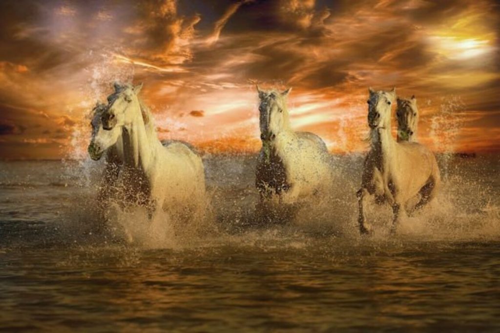 Witte paarden rennen door het water bij zonsondergang – kracht en vrijheid na onrust.