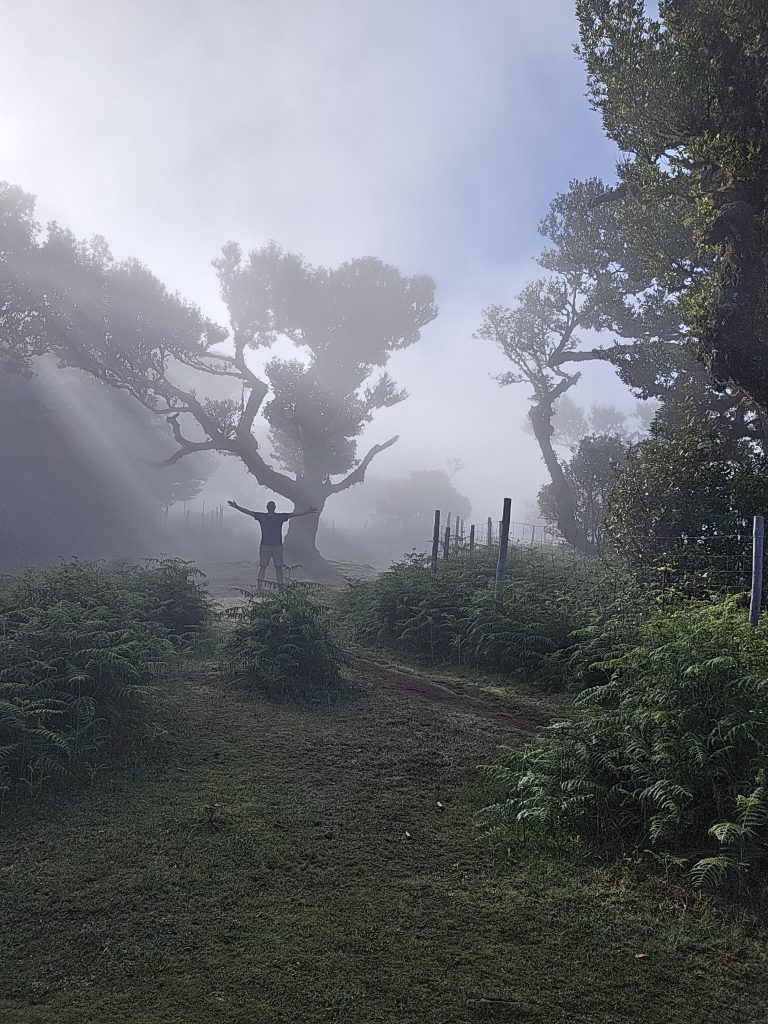 Silhouet met armen wijd op het pad tussen nevelige laurierbomen in Fanal Forest, magische ochtend.
