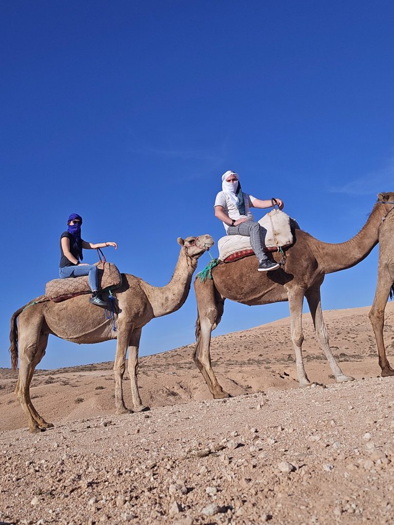 Stel op kamelen in de woestijn nabij Marrakesh – reizen en avontuur in 2024