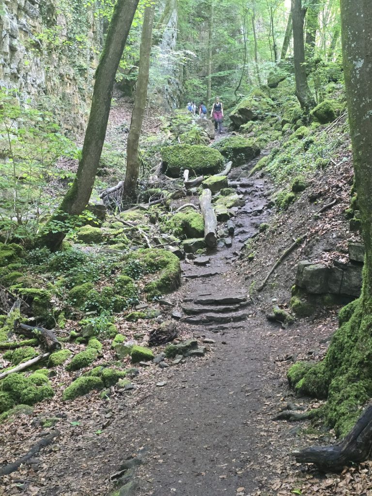 Schaduwrijk bospad vol mos en rotsen langs de Mullerthal Trail E1 in Luxemburg.
